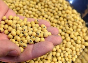 Contando los porotos: El INAI evalúa el impacto de la guerra comercial sobre la Argentina