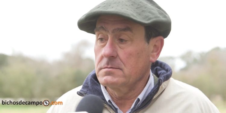 José Cvitovic: “Veo mucho futuro en el ovino”