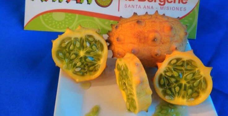 El kiwano llegó a la Argentina: Una fruta que no deja indiferente a nadie