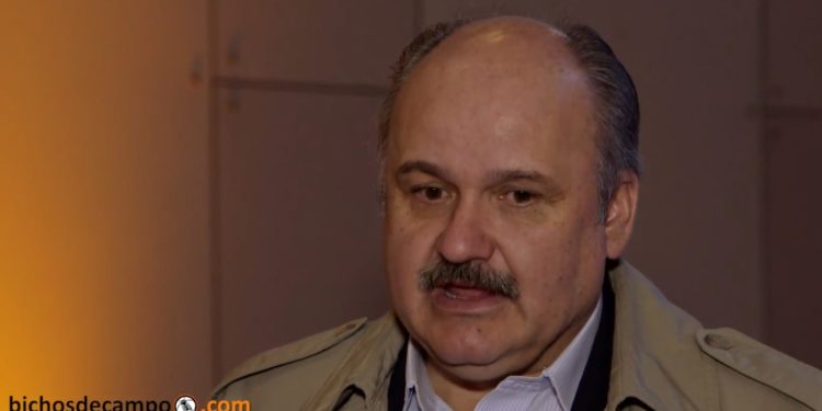 Mario Ravettino: “Somos grandes exportadores de vaca, pero no de novillo”