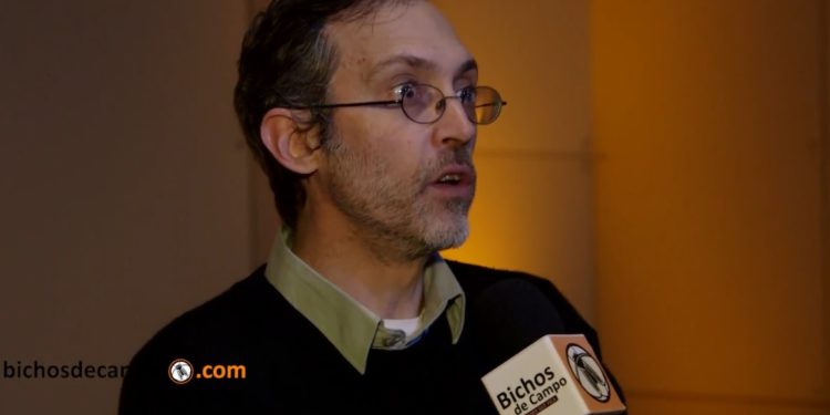 Matías Sara: “El mercado ganadero todavía está bailando al ritmo de la sequía”