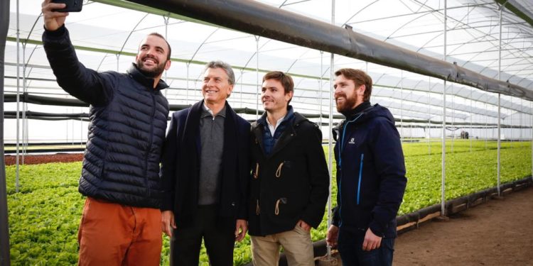 El emprendimiento hidropónico que logró una ‘selfie’ con Macri