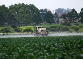 Acá están, estas son… las recomendaciones para regular de mejor modo al bidón