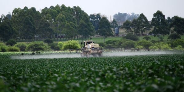 Acá están, estas son… las recomendaciones para regular de mejor modo al bidón