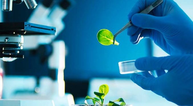 Tomás Krotsch: “La agricultura utilizará cada vez más productos de origen natural”