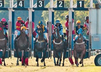 Investigación: El llamativo silencio de “la autoridad de aplicación” de la política hípica