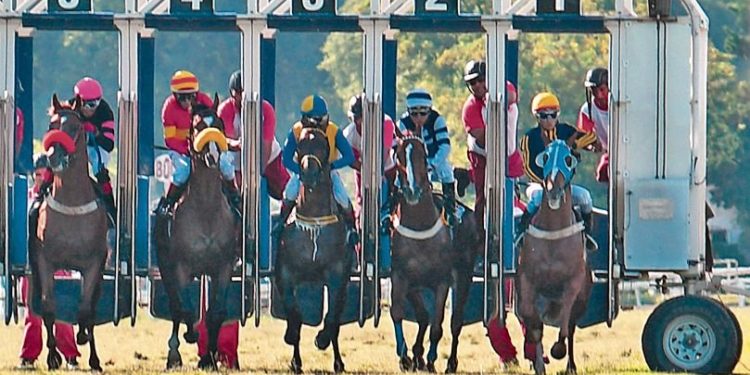 Investigación: El llamativo silencio de “la autoridad de aplicación” de la política hípica