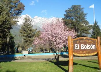 Estudiar “orgánicos”, una carrera que nació en El Bolsón y llegó a Buenos Aires