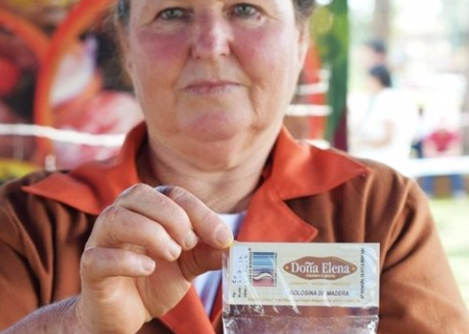 Misterios de una selva que nos permite comer madera sin rompernos los dientes