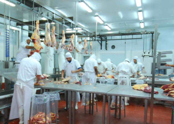 Crónicas robadas: Fridevi enviará este mismo mes carne patagónica para Japón