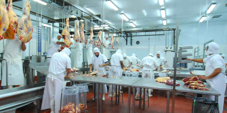 Crónicas robadas: Fridevi enviará este mismo mes carne patagónica para Japón