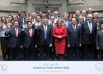 Capítulo agrícola del G20 en Buenos Aires: ¿20 gordos o 20 genios?