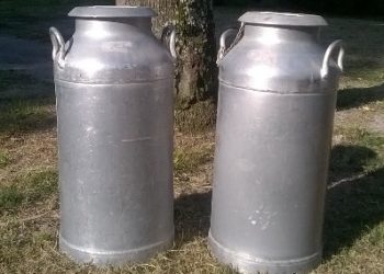 Los gritos de angustia de Mariela versus el “decreto de felicidad y urgencia” de Sammartino