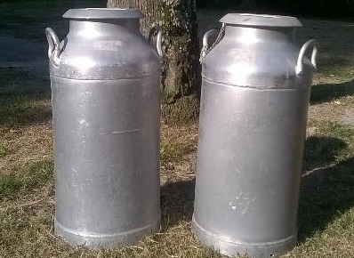 Los gritos de angustia de Mariela versus el “decreto de felicidad y urgencia” de Sammartino