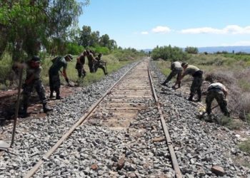Prometen que en 2020 se podrán llevar granos de Salta a Rosario en solo 2 días