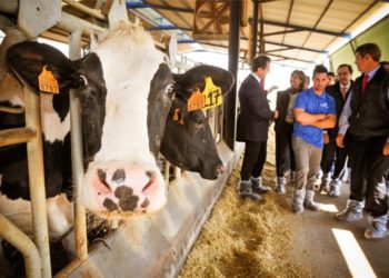 Sube la leche en julio pero todavía está lejos de cubrir los costos del productor