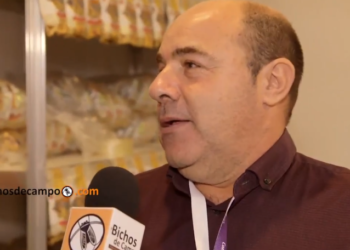 Historias con ingenio: llegan los chipá snacks