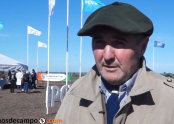 Carlos Bender: “Estamos recargados de impuestos distorsivos que nos joden”