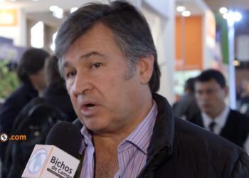 Daniel Pelegrina: “En la SRA quiero desplegar las velas y trabajar de forma horizontal”