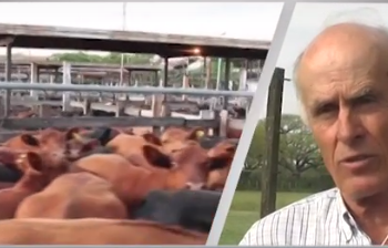 Rafael Alemán: “San Cristóbal es proveedora histórica de novillo de exportación”