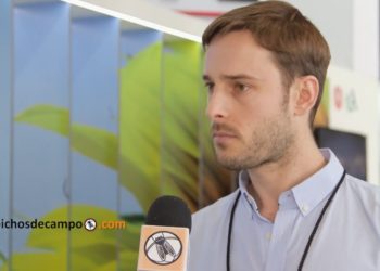 Juan Martín Brihet: “La Red BPA ofrece documentos para los municipios que quieran legislar”