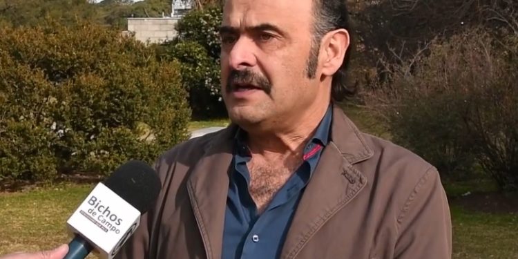 ¿Se puede comer un asado orgánico en la Argentina?