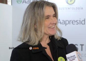 Pilu Giraudo: “Hacer soja sobre soja puede ser tentador, pero el suelo lo acusa enseguida”