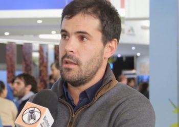 Santiago Amadeo, de Advanta: “Si al sorgo lo tratamos como al maíz tenemos muy buenos rindes”