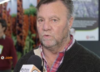 Sergio Marinelli: “Si a los contratistas nos va mal, el que se verá afectado es el productor”