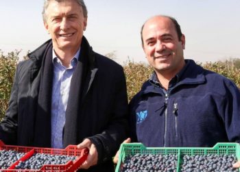 La mitad Oeste del arándano: una actividad que atrae  hasta a los presidentes