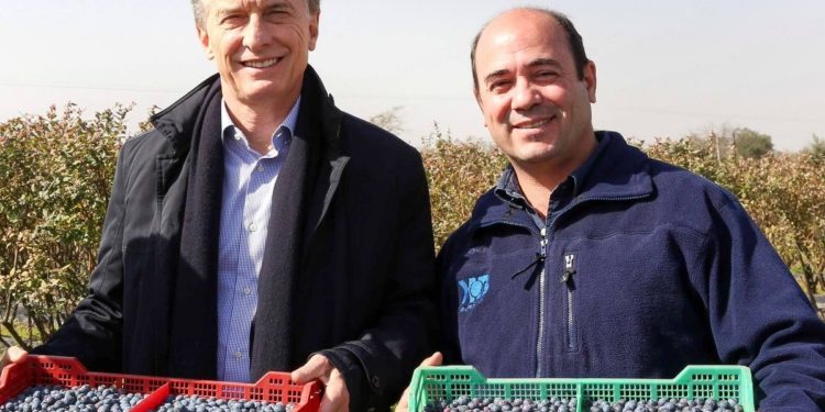 La mitad Oeste del arándano: una actividad que atrae  hasta a los presidentes