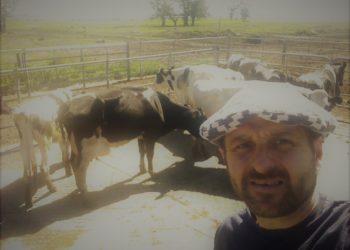 Gustavo Augel: “¿De qué boom hablamos si los tambos están fundidos?”