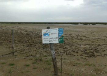 Buenas Prácticas Agrícolas: En Córdoba hay un intento serio para pasar “del dicho al hecho”