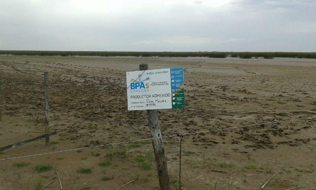 Buenas Prácticas Agrícolas: En Córdoba hay un intento serio para pasar “del dicho al hecho”