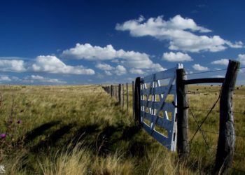 ¿A cuánto la hectárea? Te la alquilo por 1 tonelada de soja