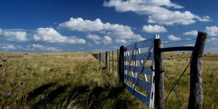 ¿A cuánto la hectárea? Te la alquilo por 1 tonelada de soja