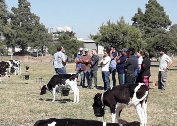 La lechería necesita trabajadores y ya existe un lugar donde aprender el oficio
