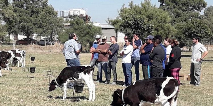 La lechería necesita trabajadores y ya existe un lugar donde aprender el oficio