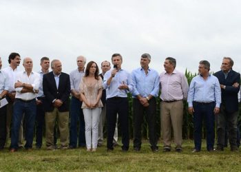 El mercado fuga, la gilada se empobrece y todos vuelven a mirar hacia la soja para que pague la fiesta