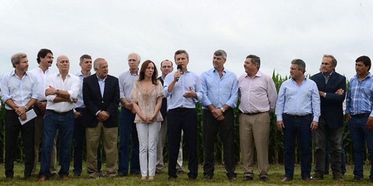 El mercado fuga, la gilada se empobrece y todos vuelven a mirar hacia la soja para que pague la fiesta