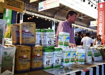 Historias con ingenio: Las pequeñas cooperativas que tienen una “esperanza yerbatera”