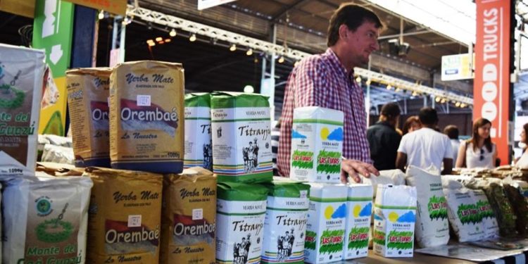 Historias con ingenio: Las pequeñas cooperativas que tienen una “esperanza yerbatera”