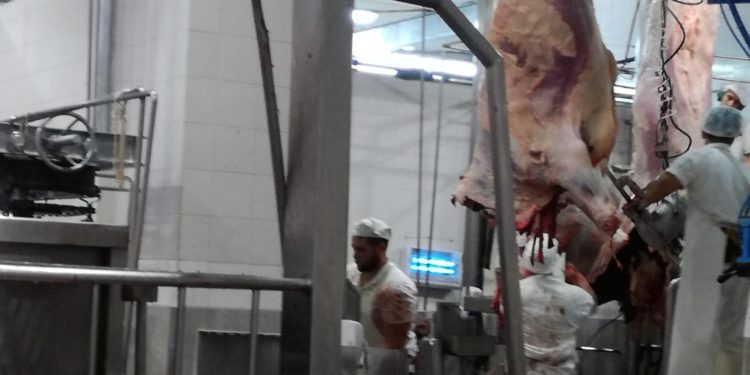 La devaluación hizo subir el cuero y provoca nuevas pujas por la faena en el conurbano