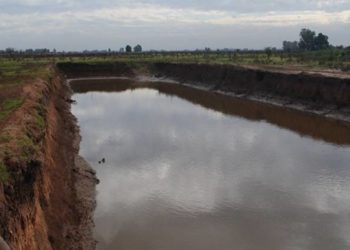 Los feedlot al banquillo: Un estudio advierte sobre contaminación