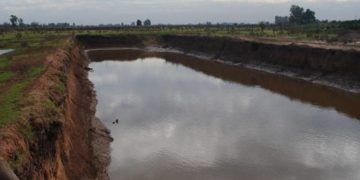 Los feedlot al banquillo: Un estudio advierte sobre contaminación