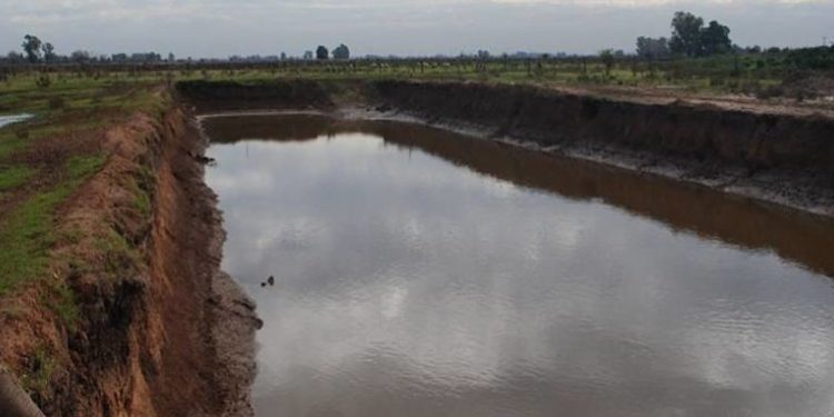 Los feedlot al banquillo: Un estudio advierte sobre contaminación