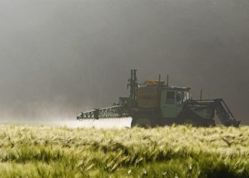 Una jueza decidió prohibir el glifosato y otros agroquímicos en todo Brasil