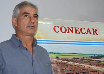 Ensayan con la famosa raza japonesa Wagyu en un feedlot santafesino