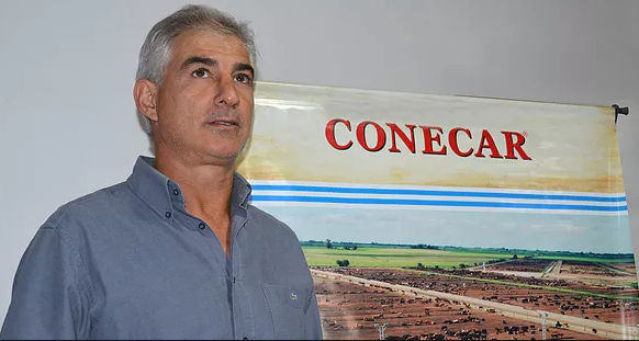 Ensayan con la famosa raza japonesa Wagyu en un feedlot santafesino