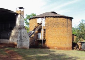 Sabores y Saberes: El viejo modo jesuítico de elaborar la yerba mate